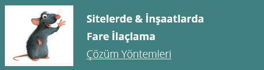 https://www.okkagrup.com.tr/blog/icerik/insaat-ilaclama-hizmeti