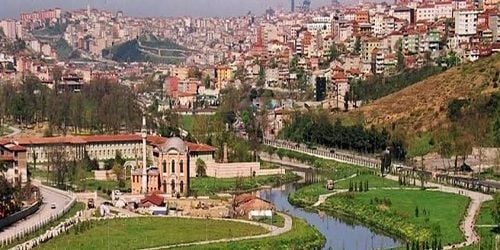 Kağıthane Fare İlaçlama Şirketi