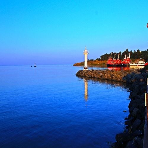 Marmaraereğlisi İlaçlama