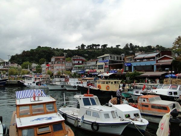 Sarıyer Böcek ilaçlama Şirketi