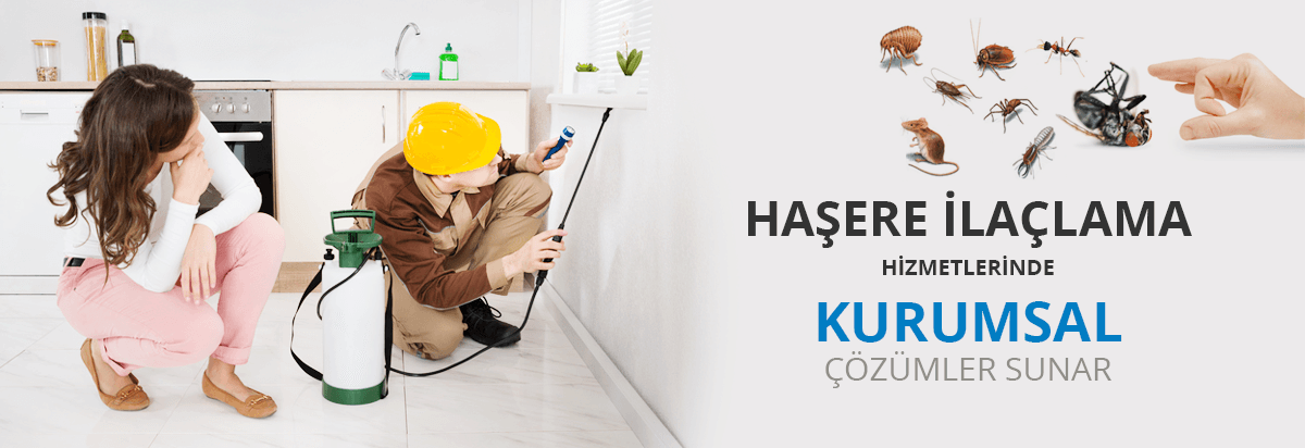 Okka Grup Kağıthane İlaçlama